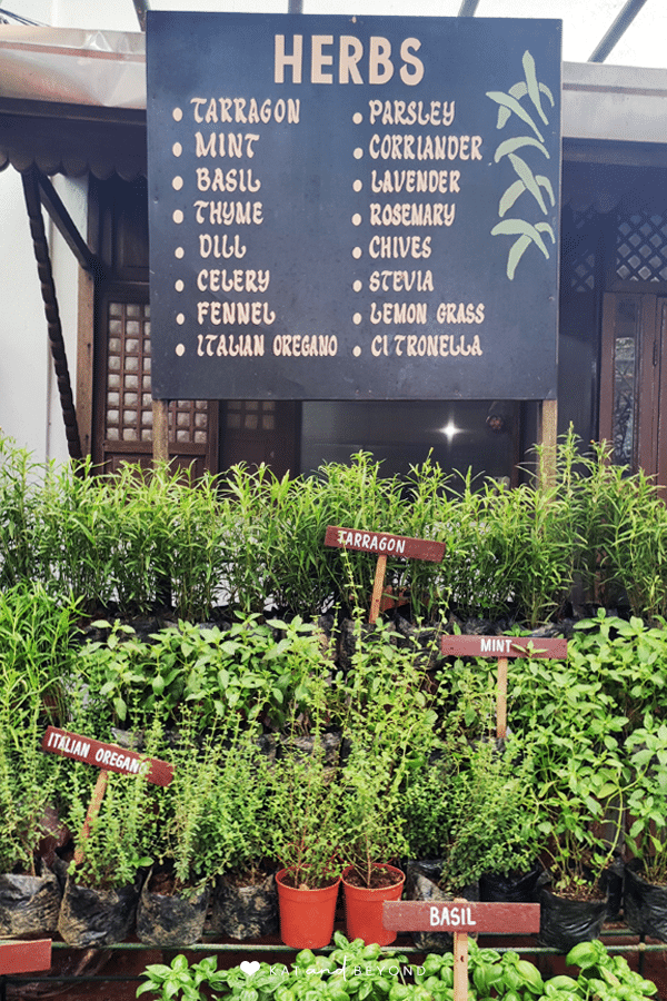 Sonya's Garden Herbs · Kat&Beyond