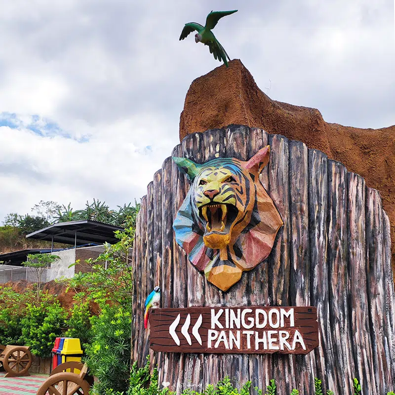 Clark Safari and Adventure Park Kingdom Panthera