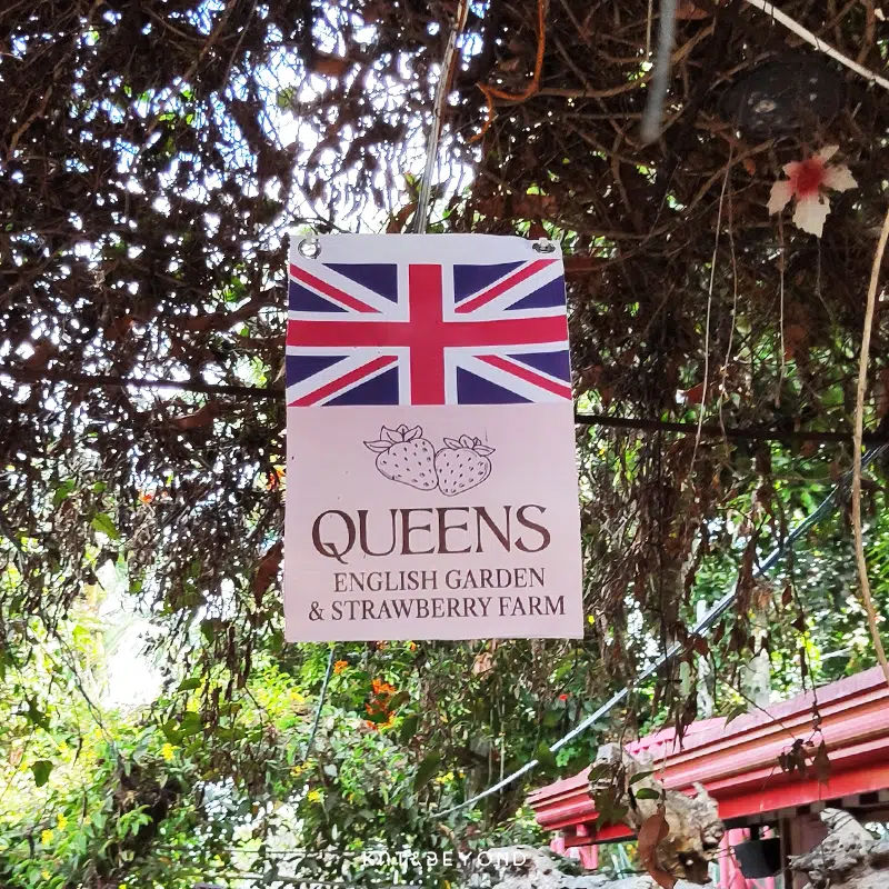 Queens English Garden & Strawberry Farm: A Return Visit