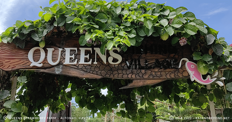 Queens Strawberry Farm Tagaytay – What's This New Destination Like?