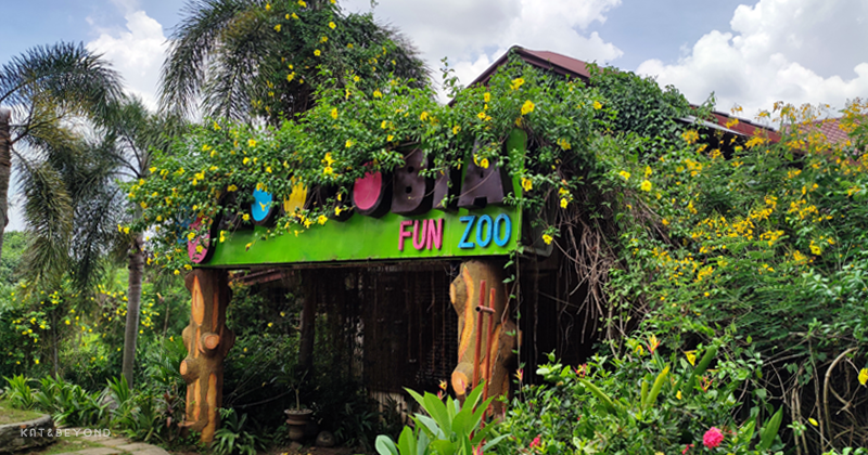 Zoocobia Fun Zoo, Paradise Ranch · Kat&Beyond